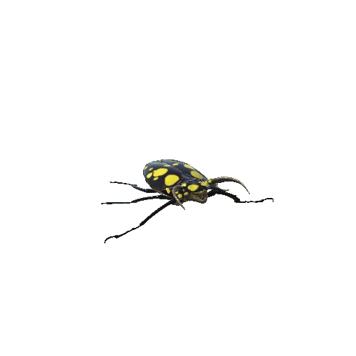Bug V 2